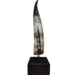 Decorative Horn With Black Base