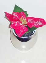 Κασπω ασημι με Αλεξανδρινα