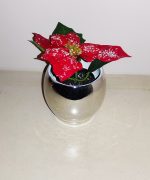 Κασπω ασημι με Αλεξανδρινα - Image 2